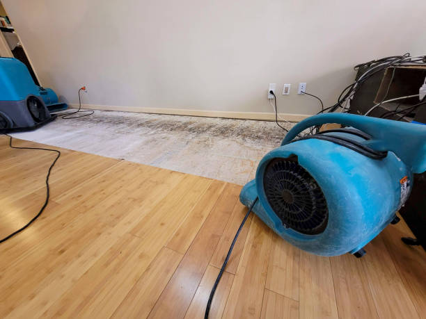 Professional Water Damage Repair technician working in Killeen, TX